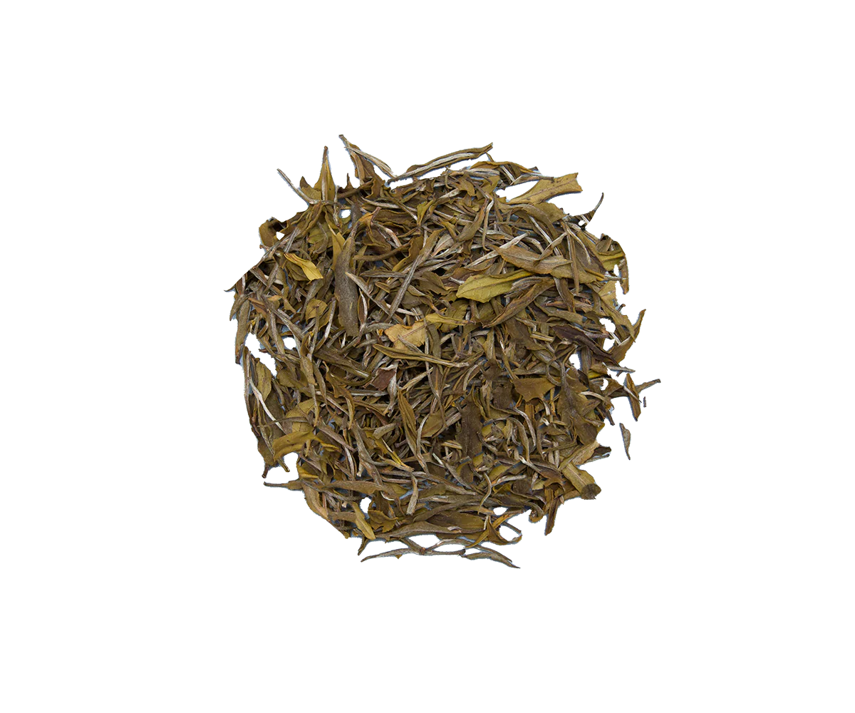 Artisan Collection - Ceylon White Tea - 30g Loose Leaf - Image 4