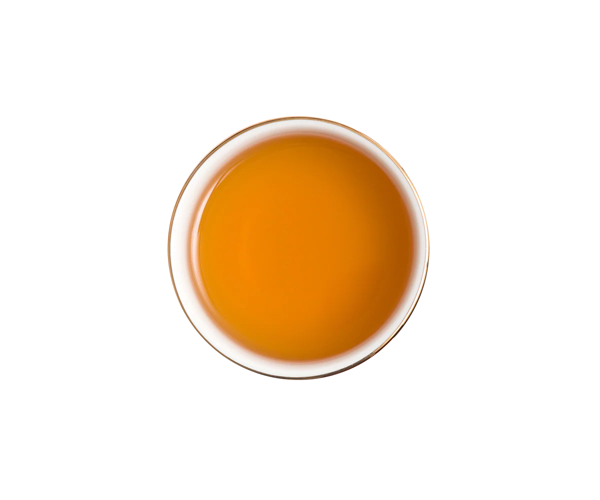 Fruit Infusions - Christmas Flavors - Orange Spice - 20 Enveloped Tea Bags - Image 6