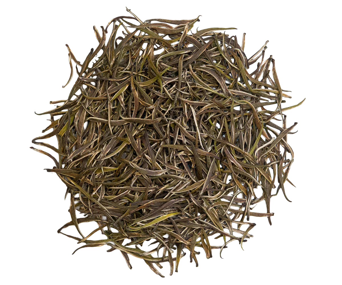 Green Needles - Image 4