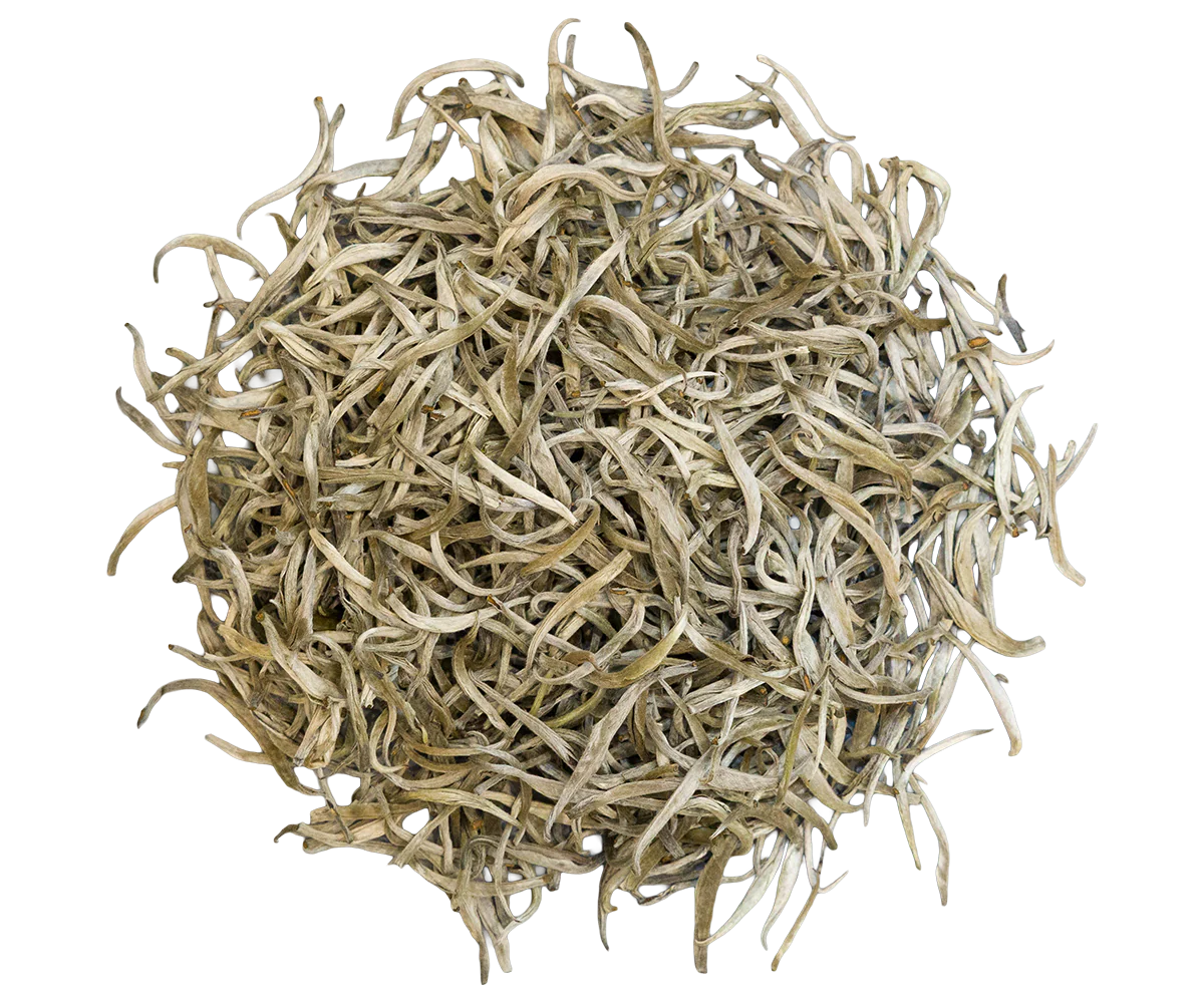 Silver Tips - Image 4